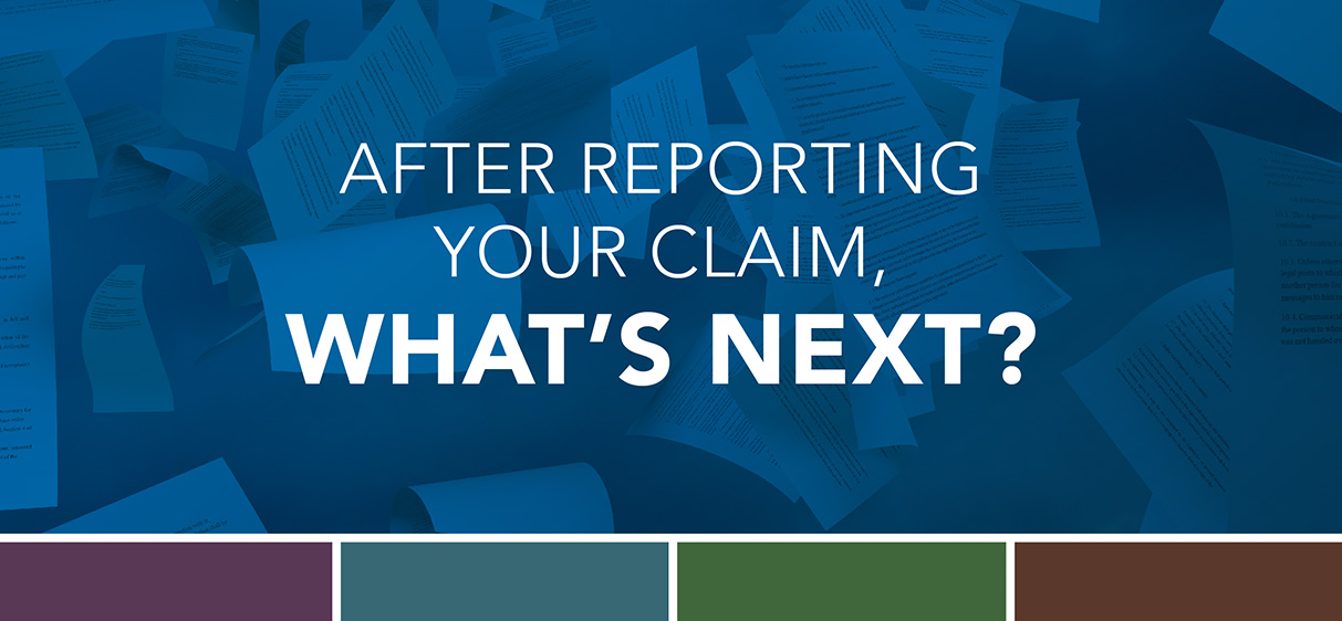 After Reporting Your Claim, What’s Next? infographic