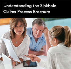 Sinkhole Claims