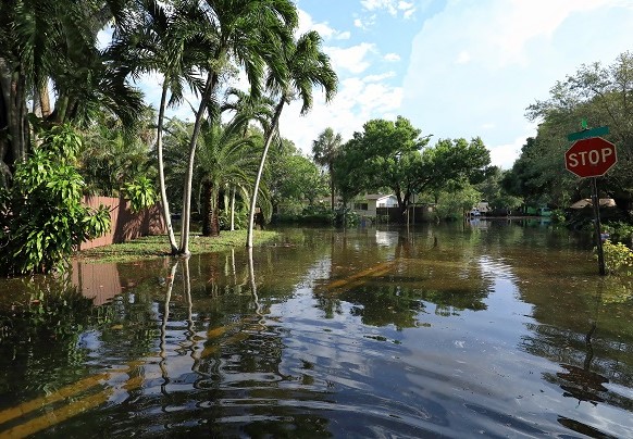 Flooded neighborhood and streets