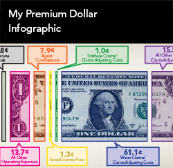 Assessments Premium Dollar