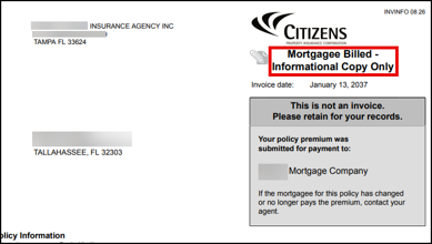 Billing Invoice: Informational Copy Only sample