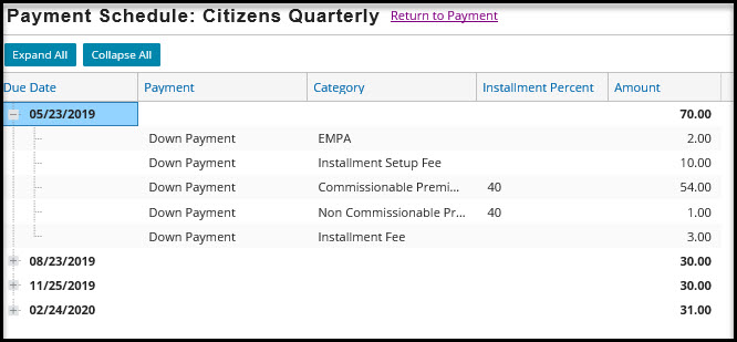 Payment Schedule screenshot